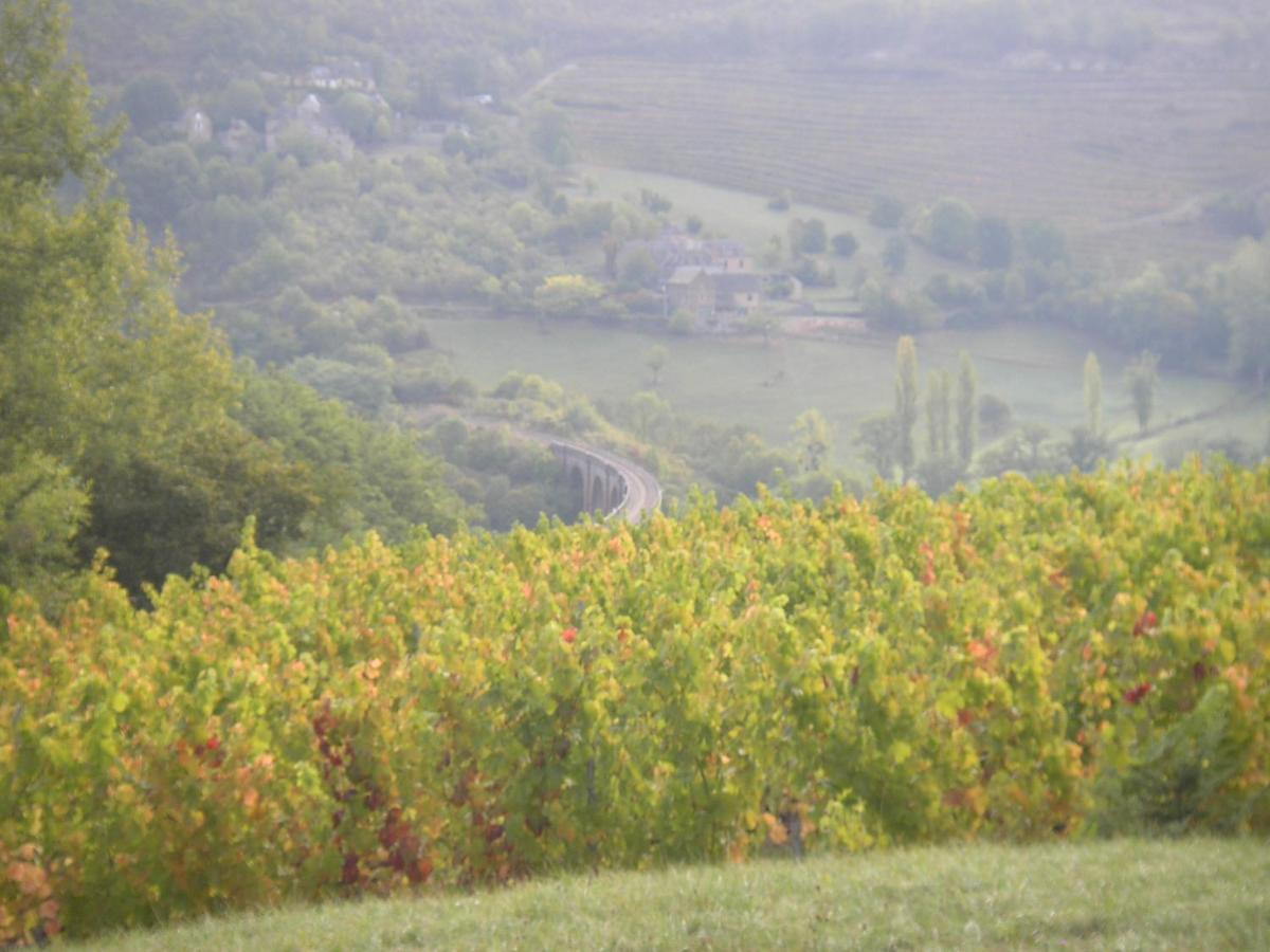 maison isolée dans les vignes et les bois Valady Esterno foto