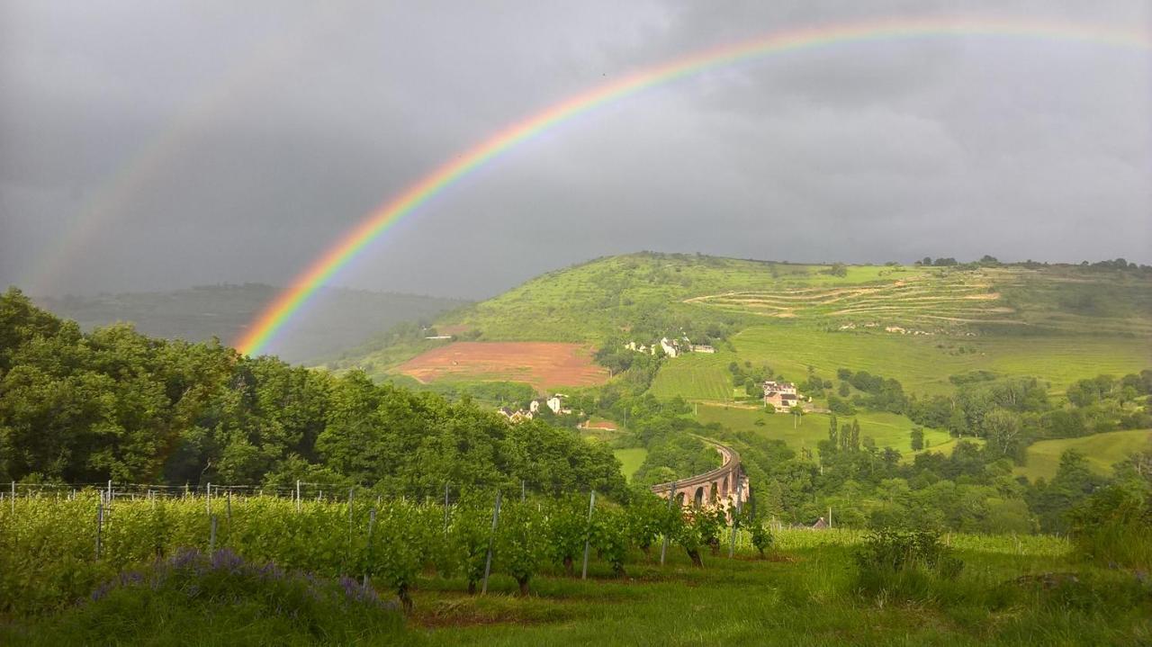 maison isolée dans les vignes et les bois Valady Esterno foto